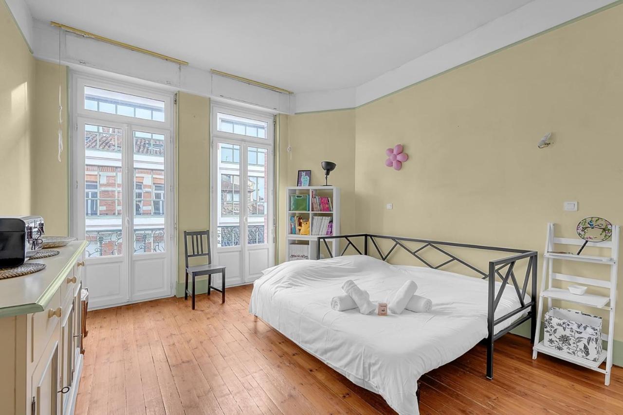 Rare Pearl Very Quiet And Bright In Apartment Toulouse